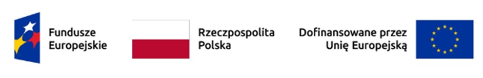 logo Fundusze Europejskie, flaga Rzeczpospolita Polska, flaga UE i napis dofinansowane przez Unię Europejską