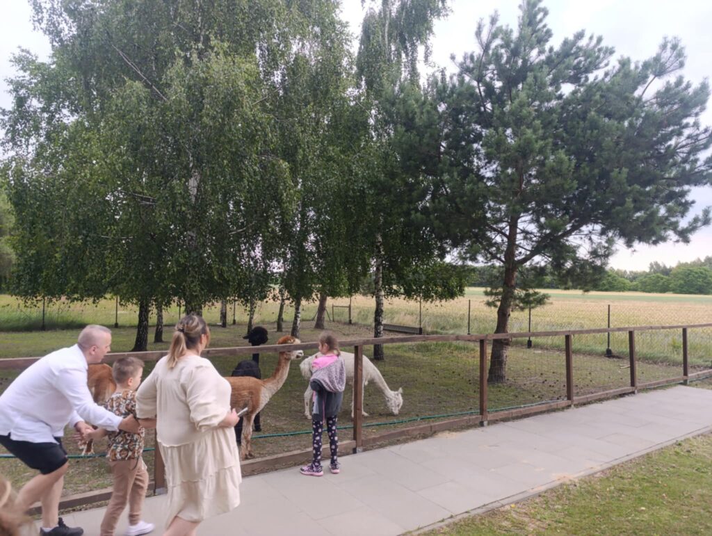 Oglądanie zwierząt.