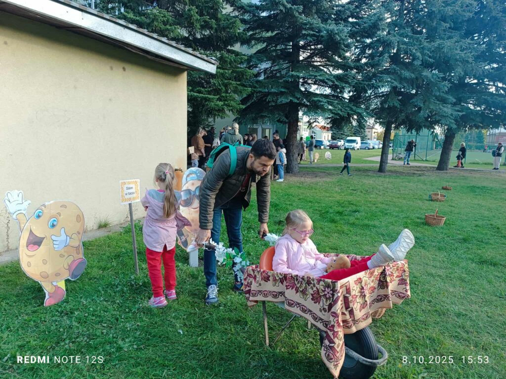 Ziemniaczany przejazd w taczce.