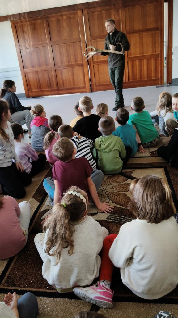 Leśnik prezentuje poroże