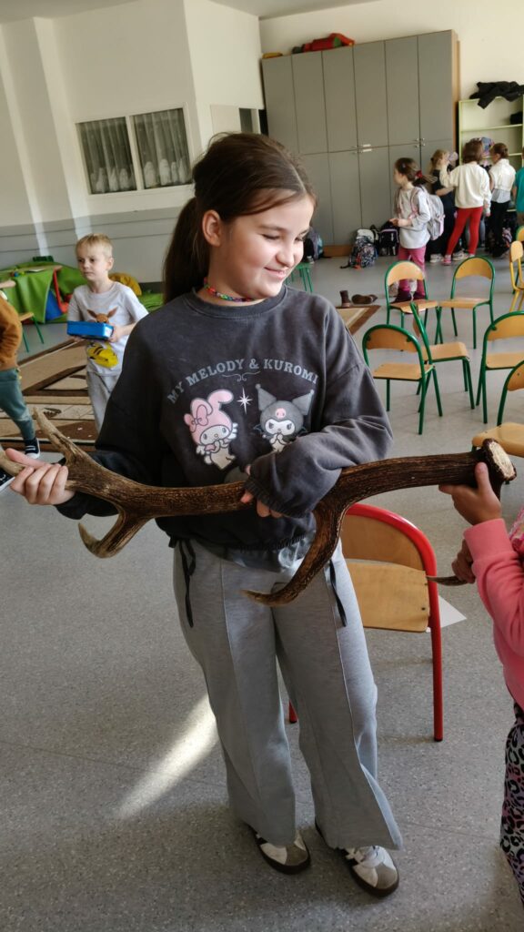 Uczennica prezentuje poroże 2