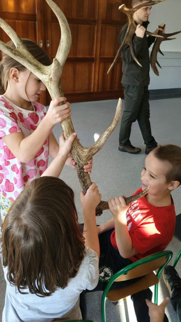 Uczniowie oglądają poroże