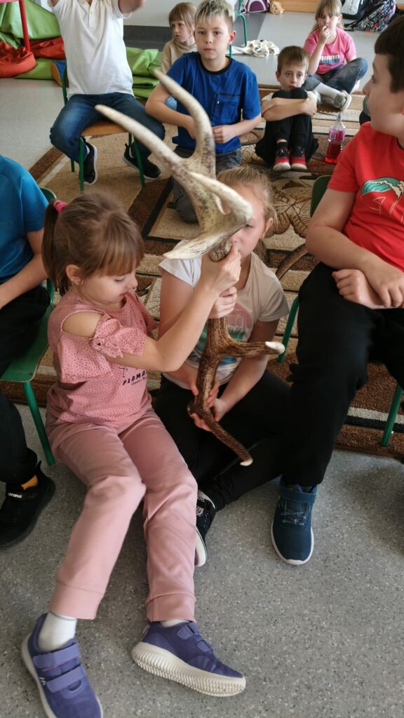 Uczniowie oglądają poroże 2