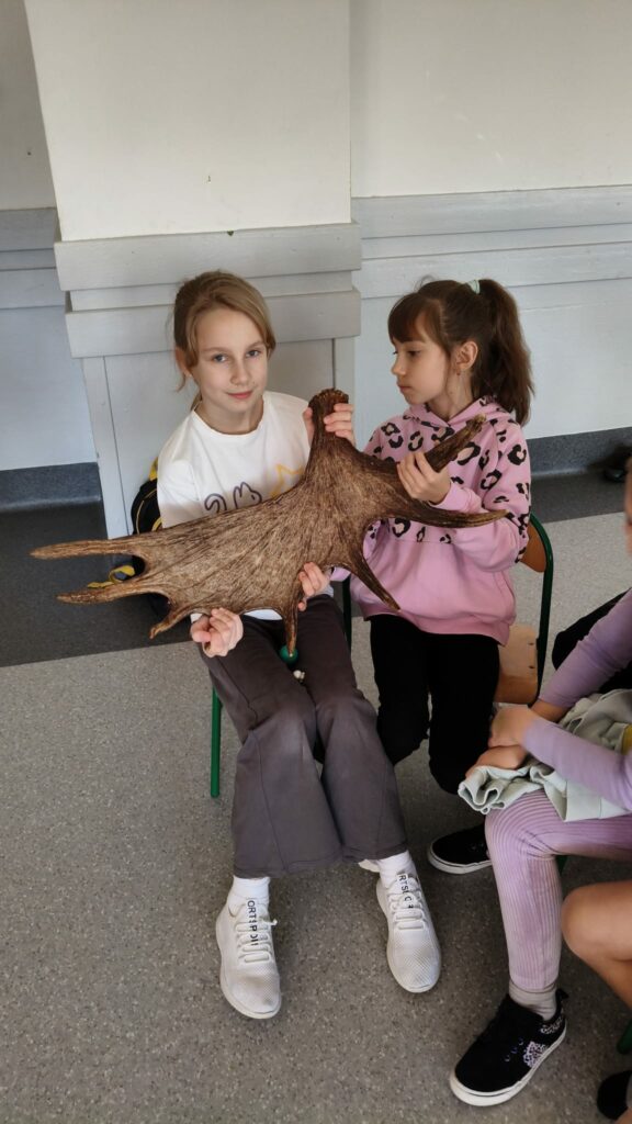 Uczennice prezentują łopaty łosia