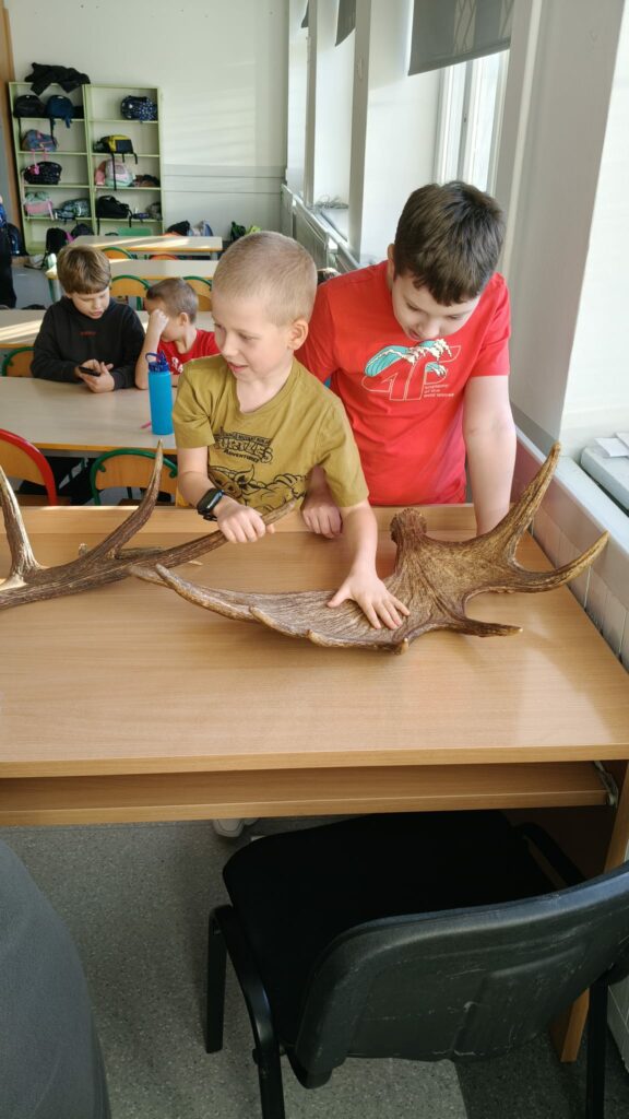 Chłopcy oglądają poroża